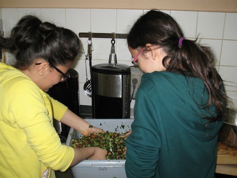 kochen